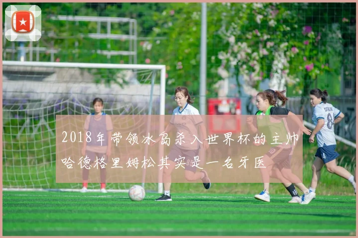 2018年带领冰岛杀入世界杯的主帅哈德格里姆松其实是一名牙医