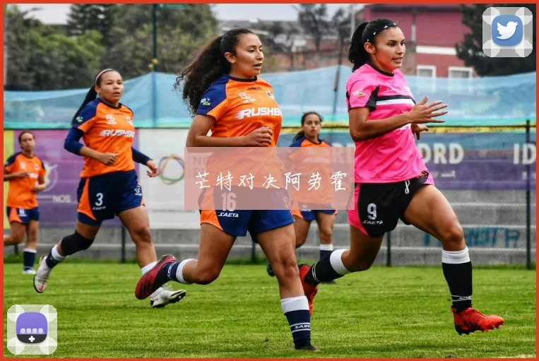 芒特对决阿劳霍
