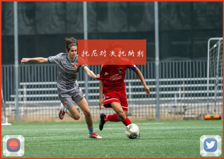 托尼对决托纳利