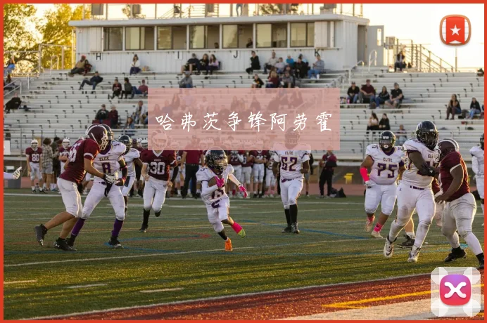 哈弗茨争锋阿劳霍