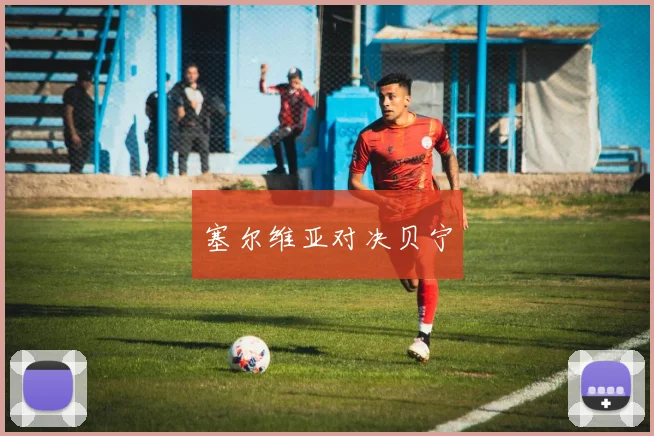 塞尔维亚对决贝宁