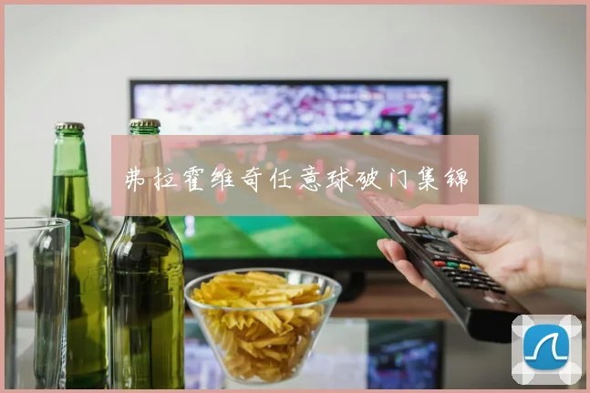 弗拉霍维奇任意球破门集锦
