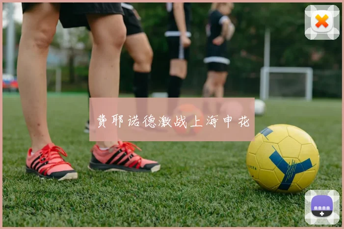 费耶诺德激战上海申花