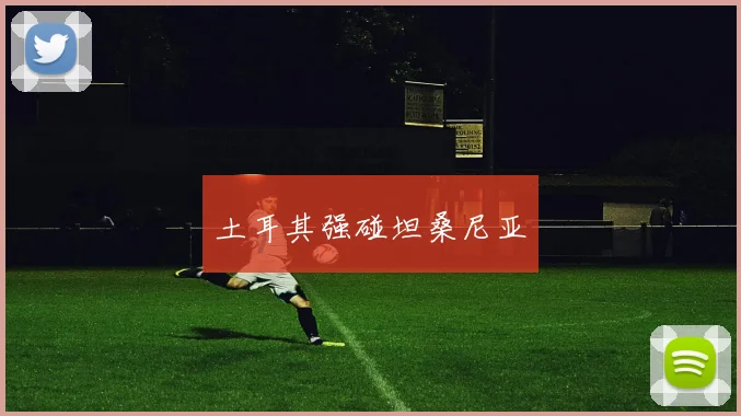 土耳其强碰坦桑尼亚