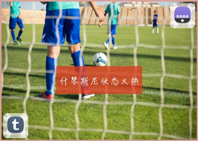 什琴斯尼状态火热