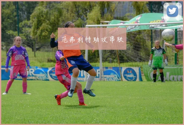 范弗利特助攻串联