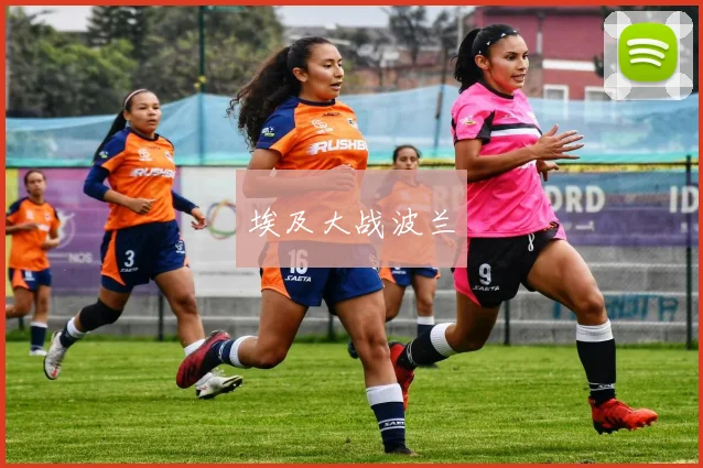 埃及大战波兰
