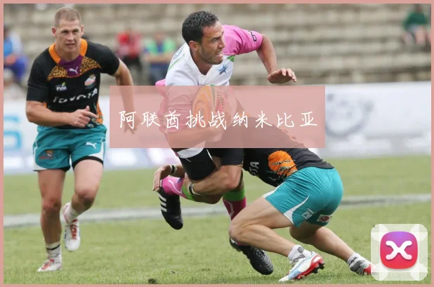 阿联酋挑战纳米比亚