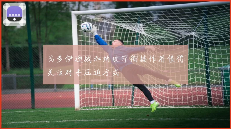 戈多伊迎战加纳攻守衔接作用值得关注对手压迫方式