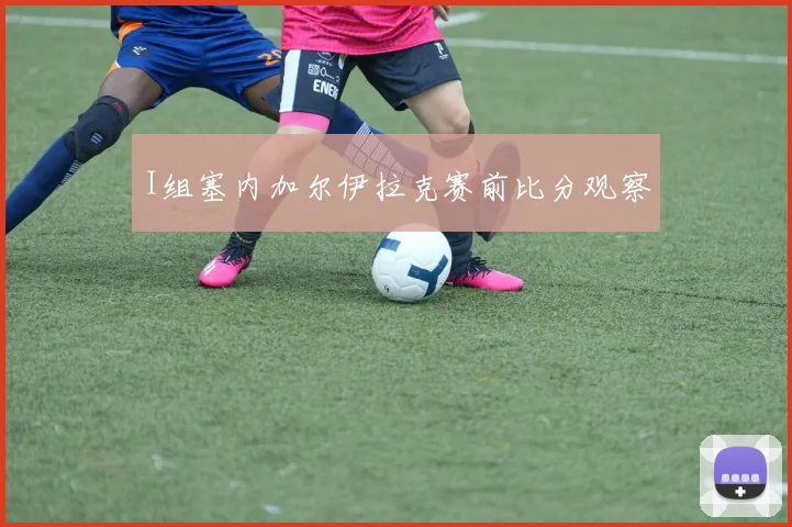 I组塞内加尔伊拉克赛前比分观察